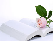 С�������v�����������؂����